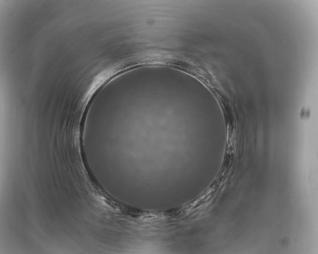 X0000091010099200708091610