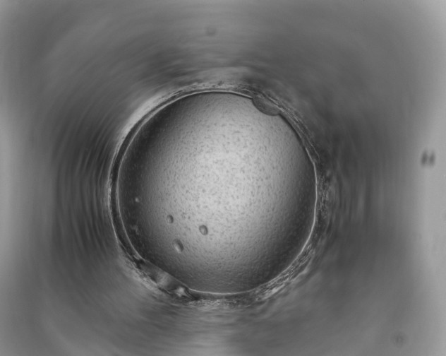 X0000091010100200708091610