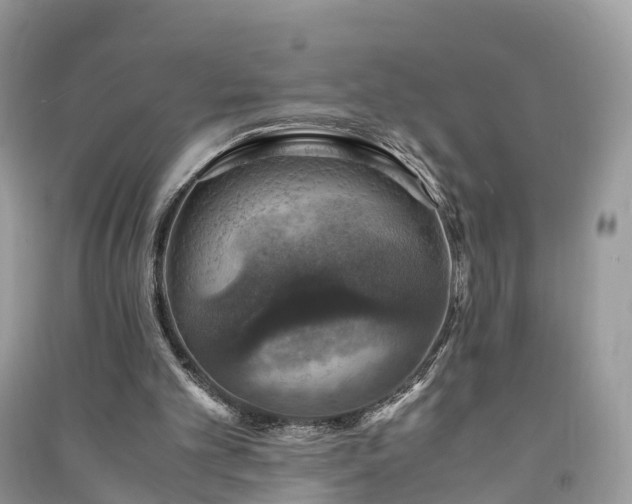 X0000091010101200708091610