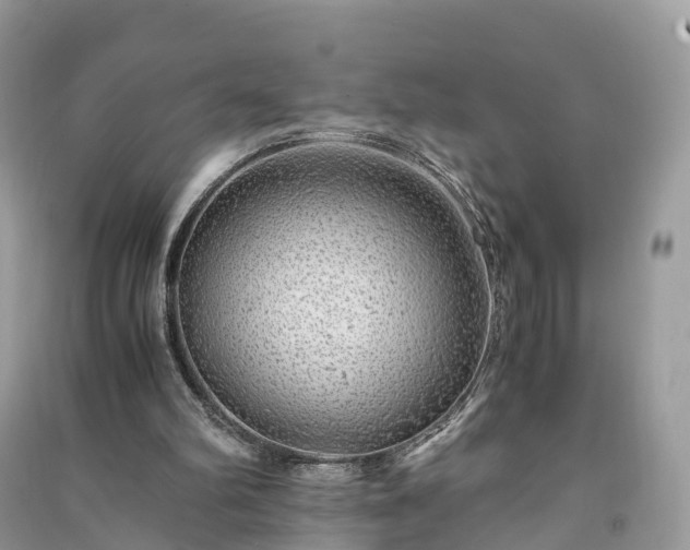 X0000091010102200708091610