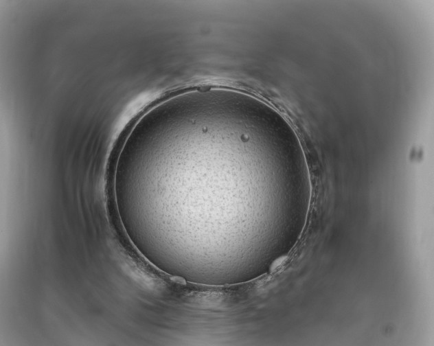X0000091010104200708091610