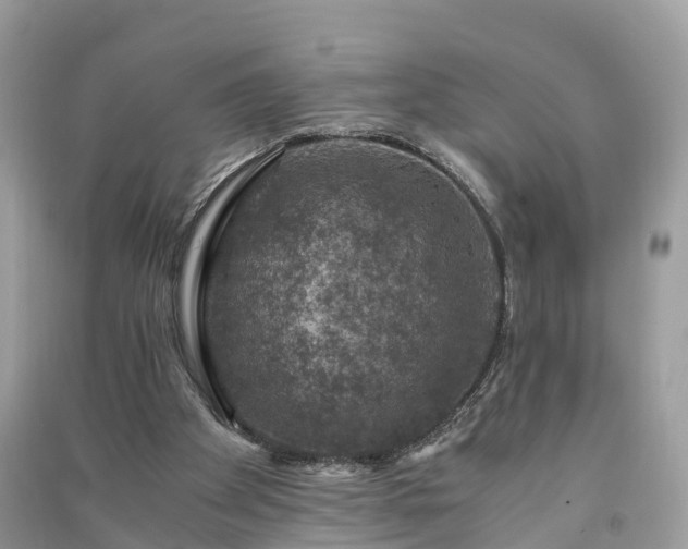 X0000091010105200708091609