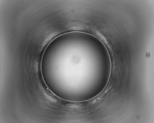 X0000091010106200708091609