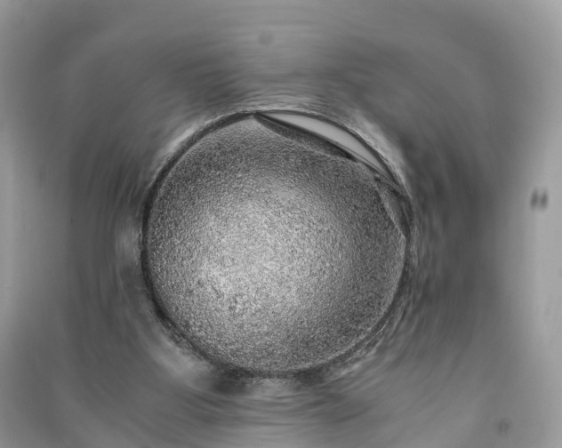 X0000091010107200708091609