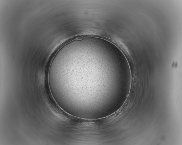 X0000091010108200708091609