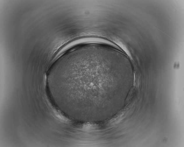 X0000091010109200708091609