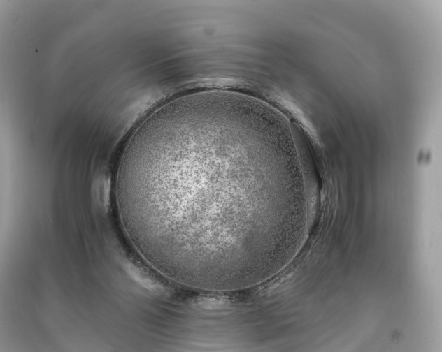 X0000091010110200708091609