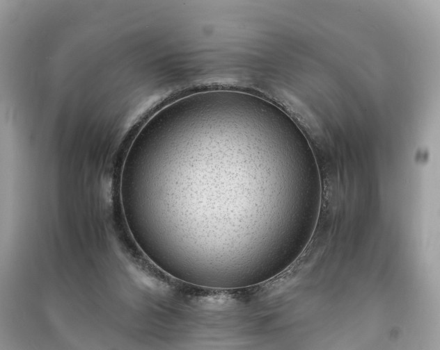 X0000091010112200708091609