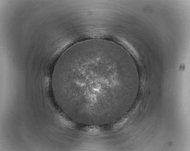 X0000091010113200708091609