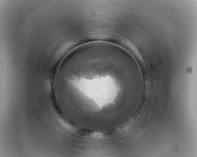 X0000091010114200708091609