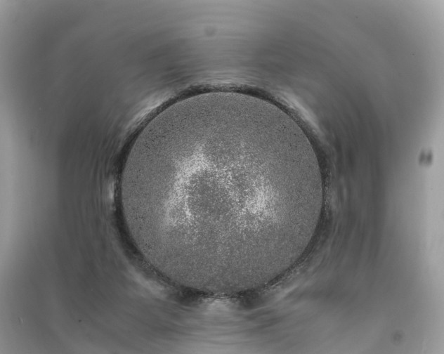 X0000091010115200708091609