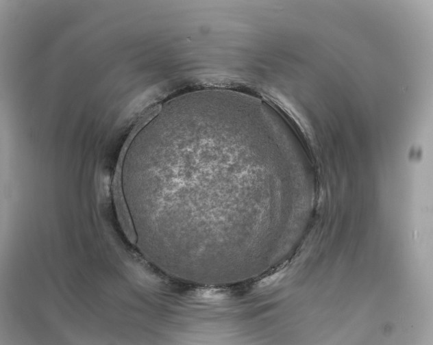 X0000091010117200708091609