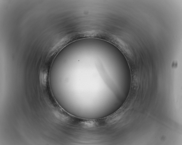 X0000091010118200708091609