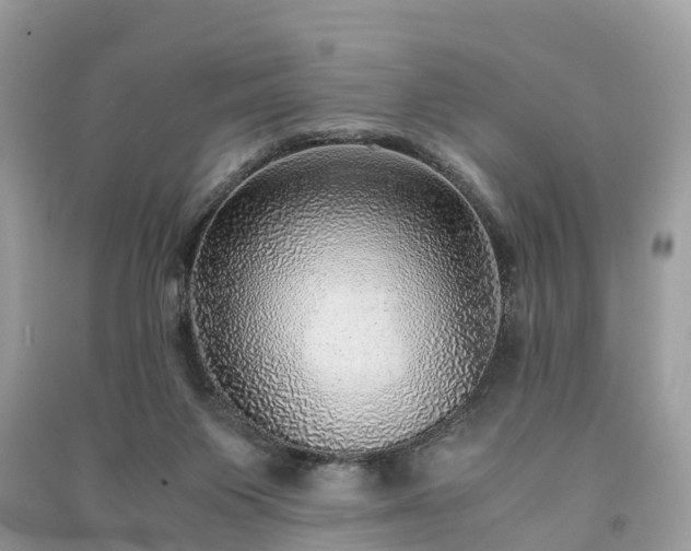 X0000091010119200708091609