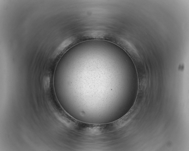 X0000091010120200708091609
