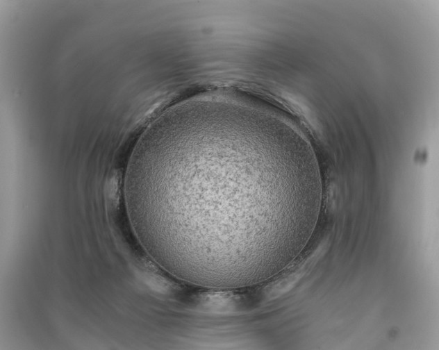 X0000091010121200708091609