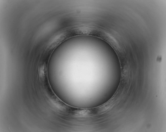 X0000091010122200708091609