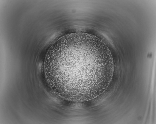 X0000091010123200708091609