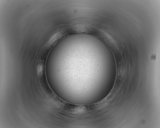 X0000091010124200708091609