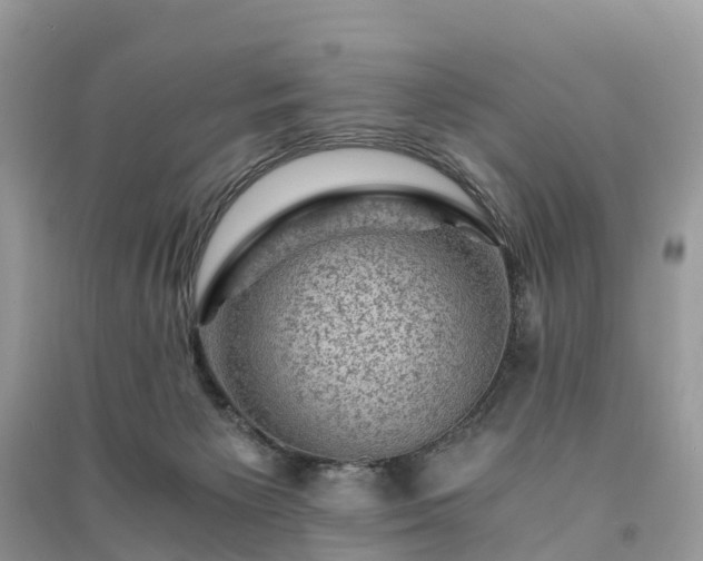 X0000091010125200708091609