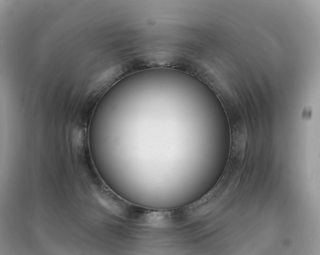 X0000091010126200708091609