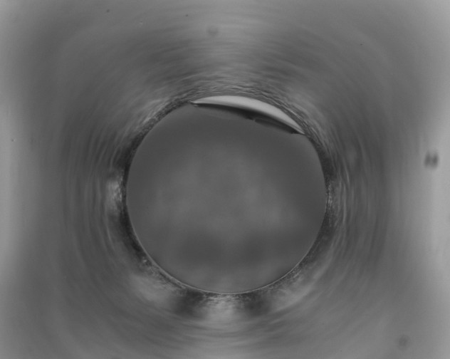X0000091010127200708091609