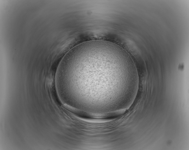 X0000091010129200708091609