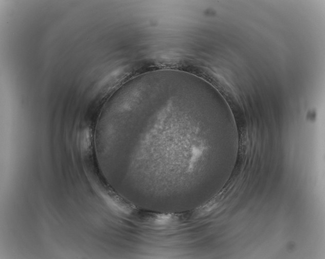 X0000091010130200708091609
