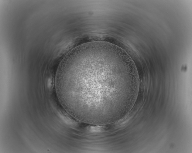 X0000091010134200708091609