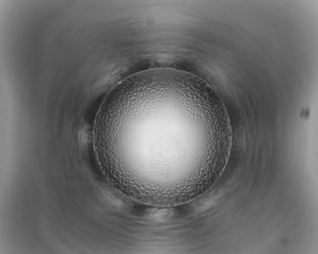 X0000091010135200708091609