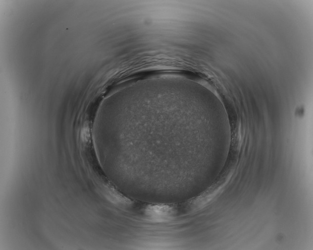 X0000091010137200708091609