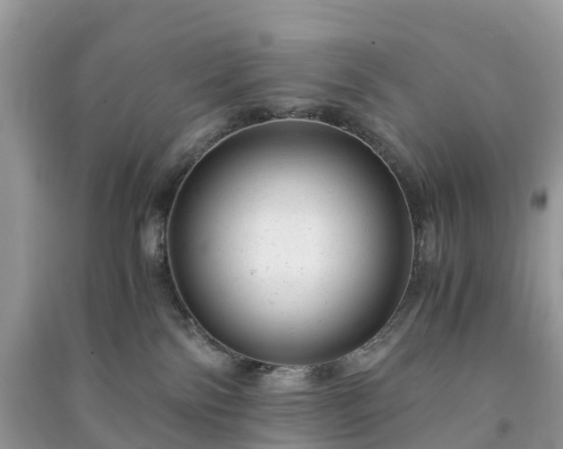 X0000091010138200708091609