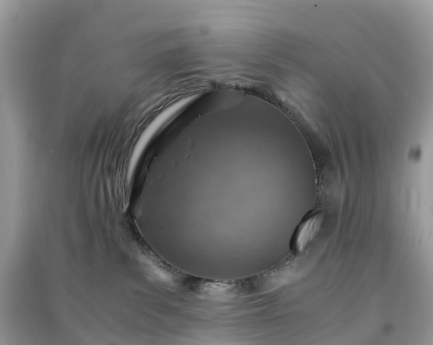 X0000091010139200708091609
