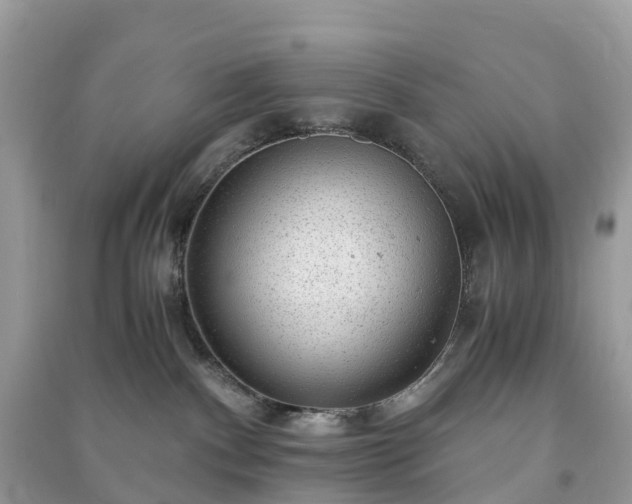 X0000091010140200708091609