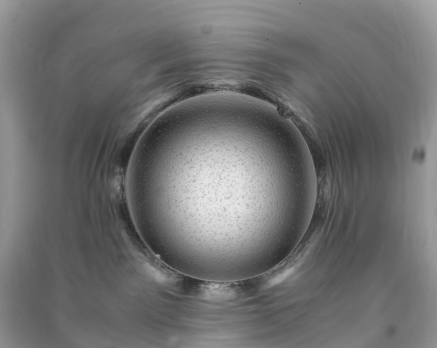 X0000091010141200708091609