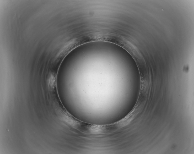 X0000091010142200708091609