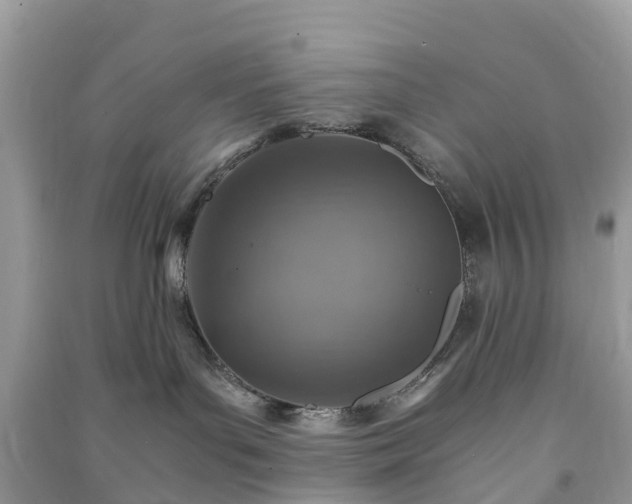 X0000091010143200708091609