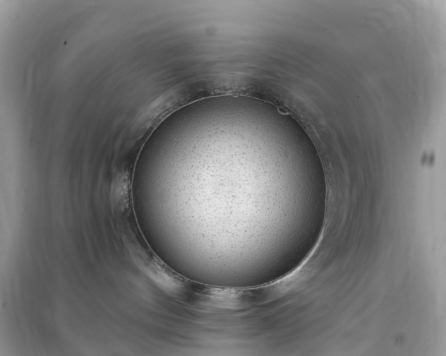 X0000091010144200708091609