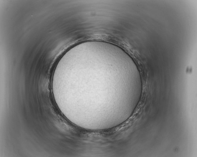 X0000091010146200708091608