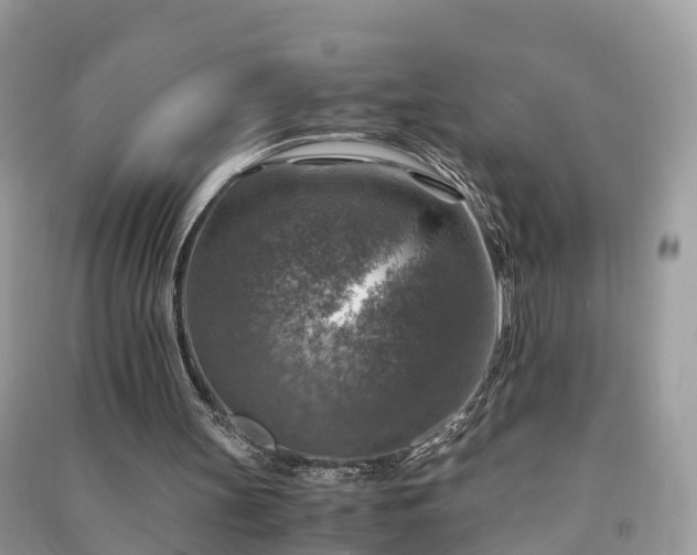 X0000091010147200708091608