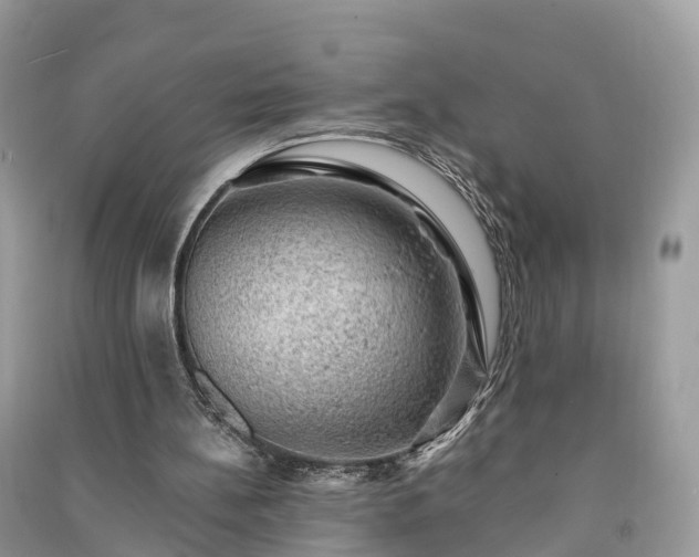 X0000091010148200708091608