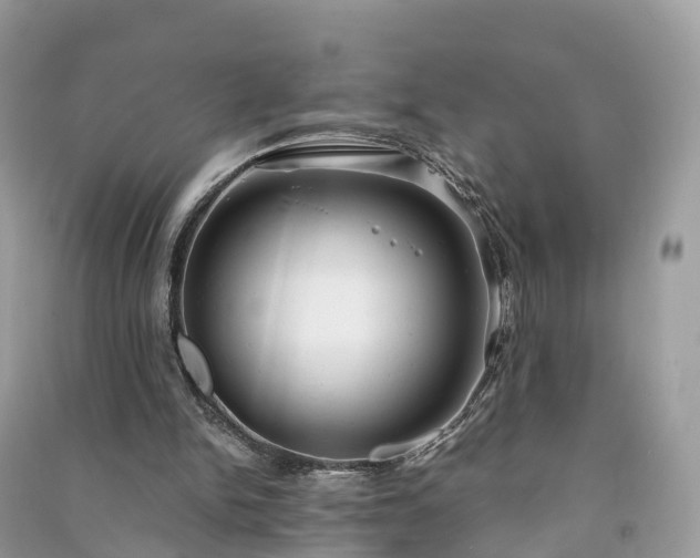 X0000091010150200708091608