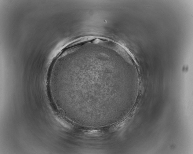 X0000091010151200708091608