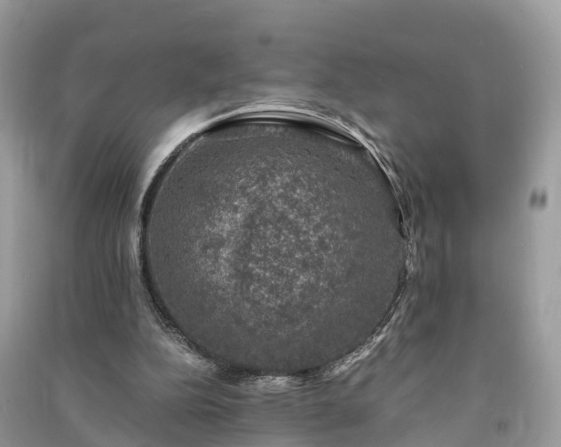 X0000091010152200708091608