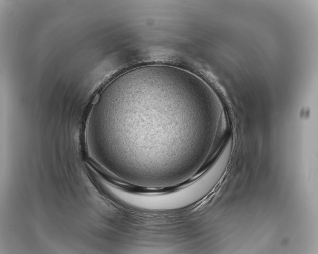 X0000091010154200708091609