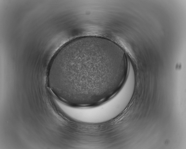 X0000091010156200708091609