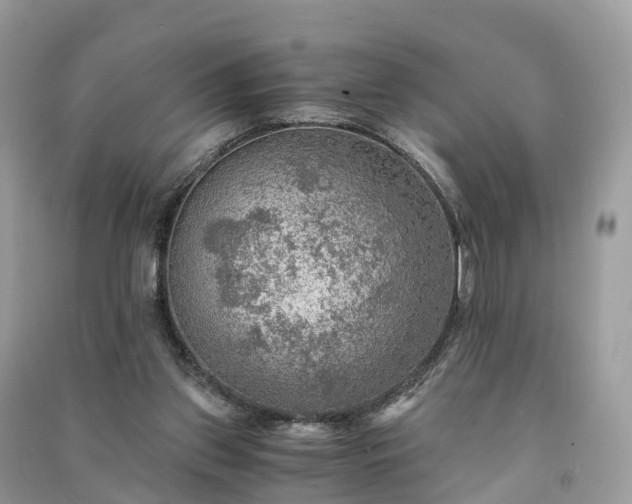 X0000091010157200708091609
