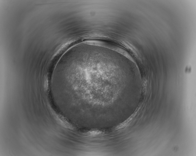 X0000091010158200708091609