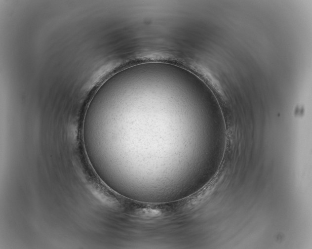 X0000091010159200708091609