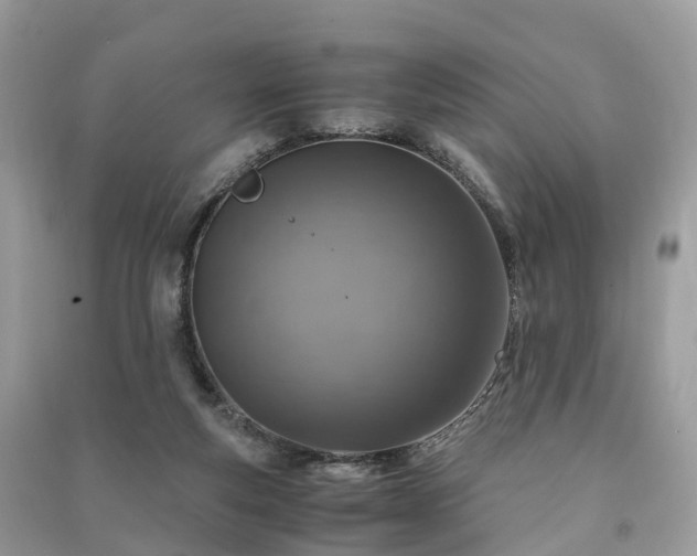 X0000091010163200708091609
